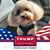 Ann Faggart McIntyre's profile image