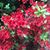 Karen Kiefer Benson's profile image