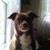 Marybeth Owens's profile image