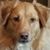 Cathie Galford-Holbrook's profile image