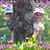 Kim Hehner's profile image