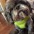 Brenda K Charles's profile image