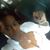 Lesedi LoveandPeaceto You's profile image