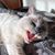 Sandy Wright's profile image