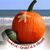 Kimberlee Holcombe Gutierrez's profile image