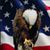 Donna Fleming's profile image