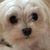 Lindsay Fass Graham's profile image