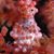 Marjorie Moore's profile image