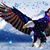 Ron Layne's profile image
