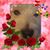 Peggy Walters's profile image