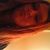 Amanda Hede's profile image