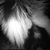 Jim Lowell's profile image