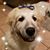 Janet Schmidt's profile image