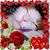 Jennifer Lewis's profile image