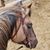 Sandy Ricketts's profile image
