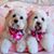 Jackie Glantz Lais's profile image