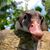 Nick Dehnel's profile image