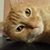 Leah Couts's profile image