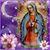 Amparo Martinez's profile image