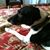 Brenda J. Stinson's profile image