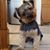 Julie Naylor Wolf's profile image