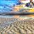 Sandi Pisarski's profile image