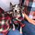 Alice Chow's profile image