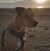 Kurt Owen Lacher's profile image