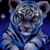 Donna Cameresi's profile image