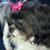 Cathy Ann Miller's profile image