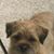 Mark Hodgson's profile image