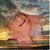 Scott A. Van Huis's profile image