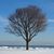 Lynn Jasinski Tachick's profile image