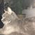 Frederic Verhevick's profile image