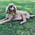 Shannon Medlin's profile image