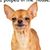 Kathy Noel's profile image