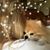 Lisa Burbridge's profile image