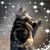 Virginia C. Lackey's profile image