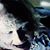 Carrie Fehringer's profile image