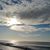 Jane Saraceno Panetta's profile image