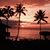 Laura Tude Lenhard's profile image