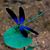 Julie Klick Barry's profile image