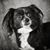 Linda Downing Block's profile image