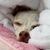 Tina George Rowe's profile image