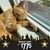 Beth Shaver Carwile's profile image