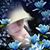 Lori Brown's profile image