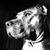 Ryan Ackerson's profile image