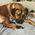 Jill Thibodeau's profile image