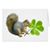 Shannon McBride Davis's profile image