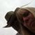 Libby Judy Craig's profile image